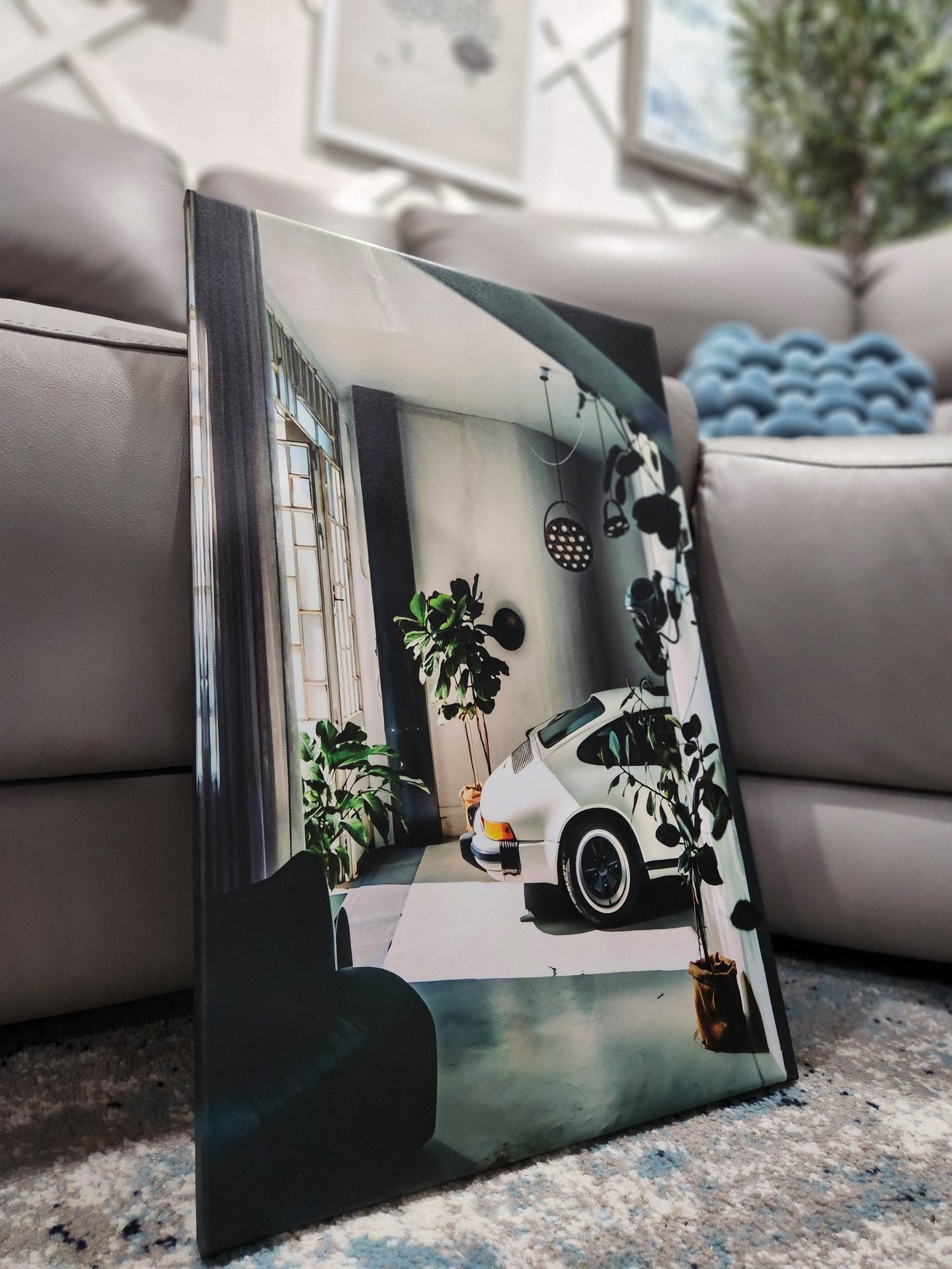 White Sports Car Plants